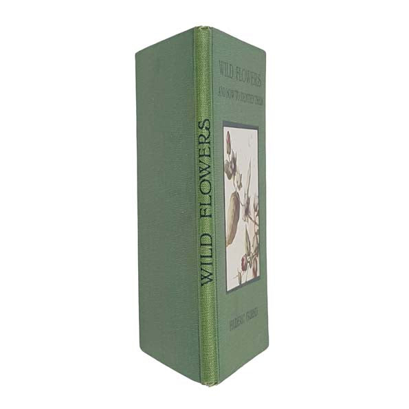 Wild Flowers and How To Identify Them by Hilderic Friend 1934