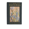Wild Flowers Worth Knowing by Neltje Blanchan 1922