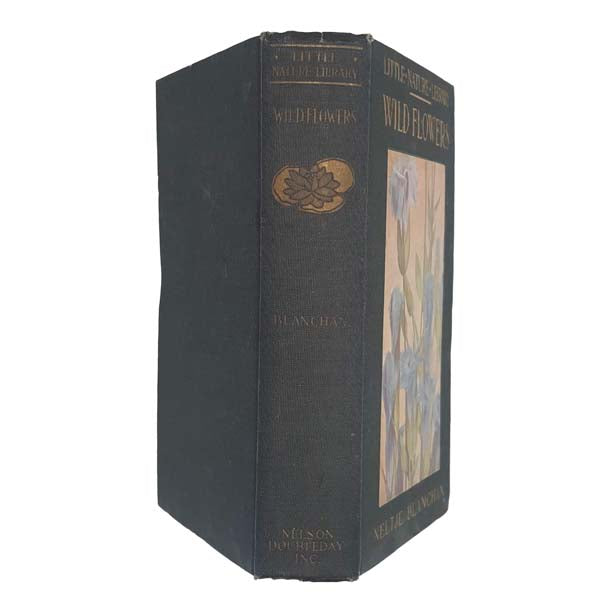 Wild Flowers Worth Knowing by Neltje Blanchan 1922