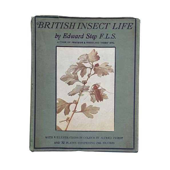 British Insect Life by Edward Step F.LS.