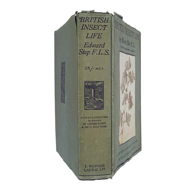 British Insect Life by Edward Step F.LS.