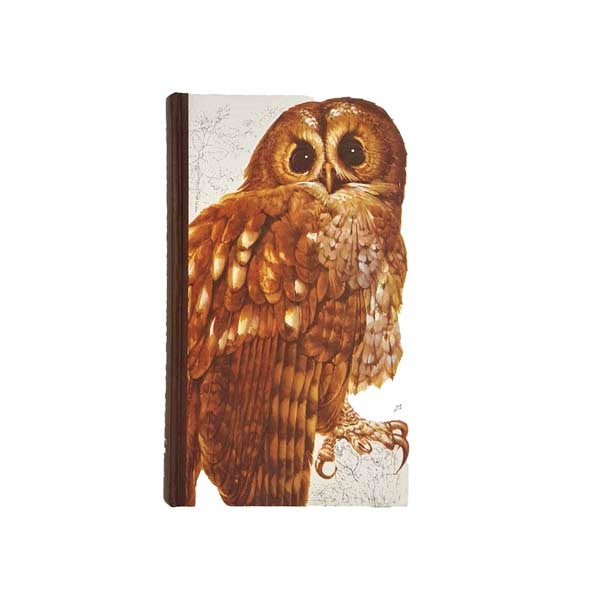 Book of British Birds 1976
