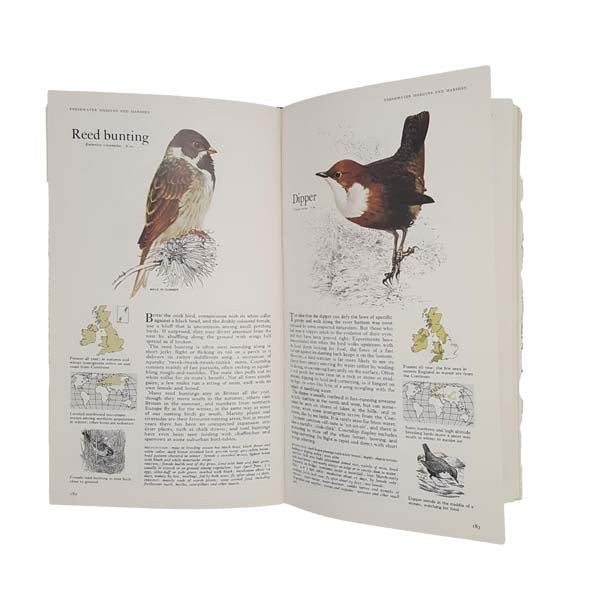 Book of British Birds 1976