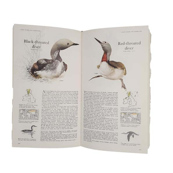 Book of British Birds 1976