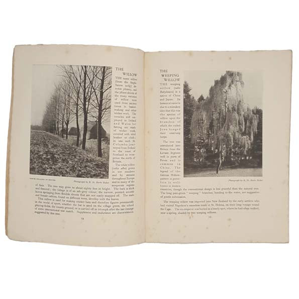 On The Track of Trees by Grace E. Pulling 1936-7