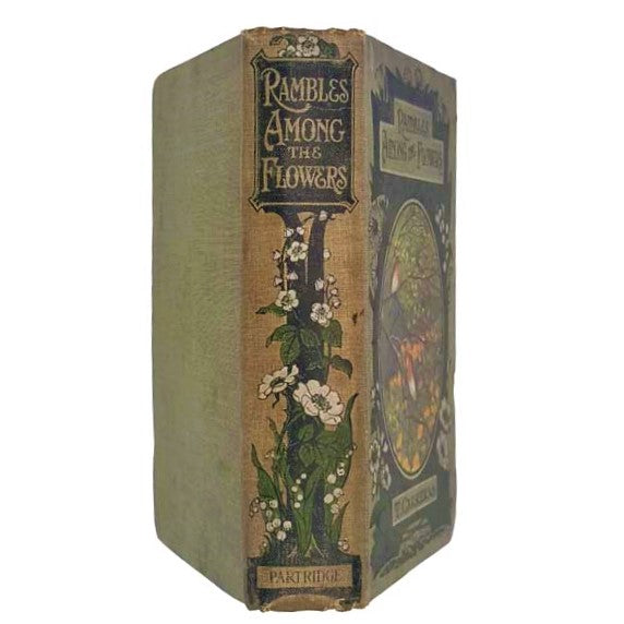 Rambles Among The Flowers by T. Carreras