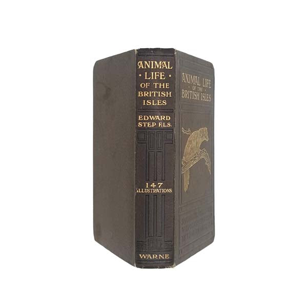 Animal Life of the British Isles by Edward Step 1927