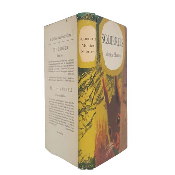 Squirrels by Monica Shorten 1954