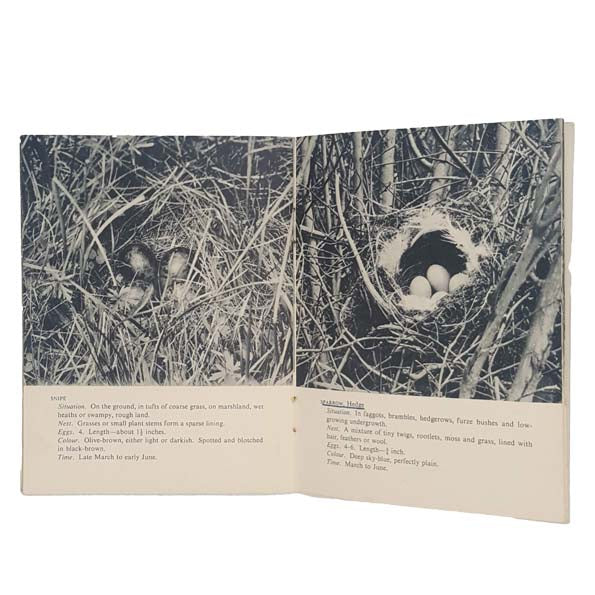 Nests and Eggs of the Countryside by Reginald Gaze 1949 - First Edition