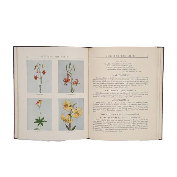 Consider the Lilies (Second Edition)