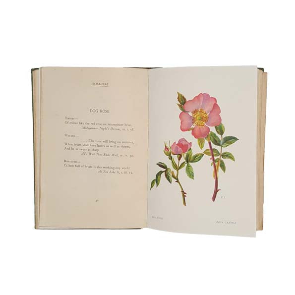 A Garland of Shakespeare's Flowers