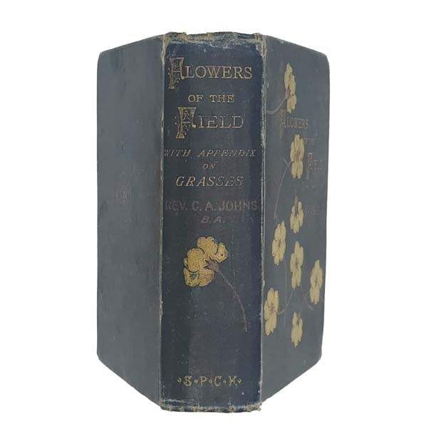 Flowers of the Field by C. A. Johns, 1894