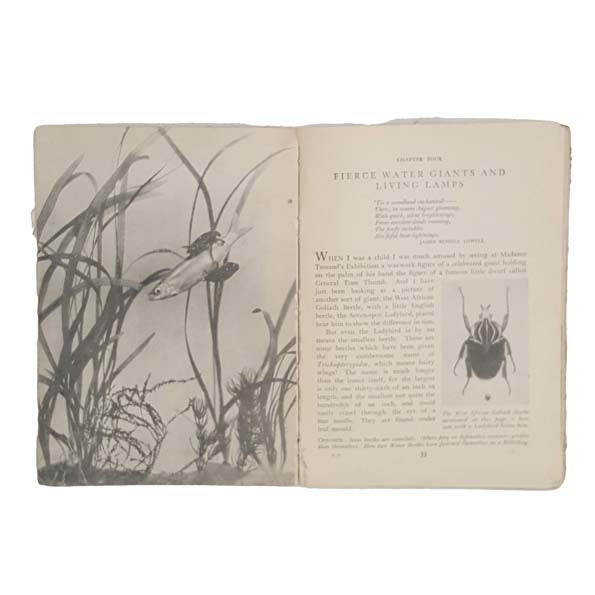 Nature's Playground by M. Cordelia E. Leigh - Book Two 1951