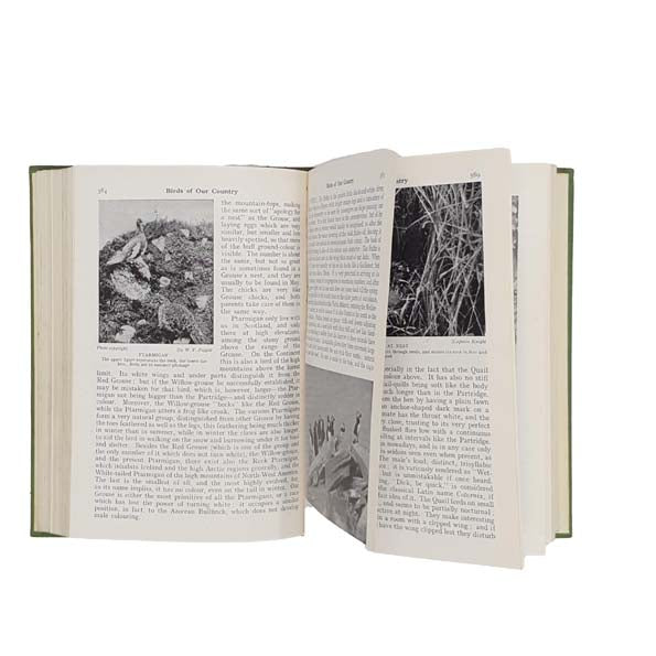 Birds of Our Country &amp; of the Dominions, Colonies &amp; Dependencies Volume 1