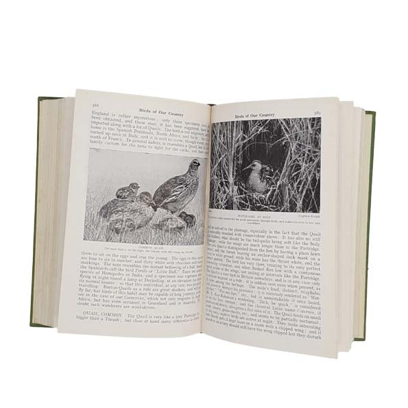 Birds of Our Country &amp; of the Dominions, Colonies &amp; Dependencies Volume 1