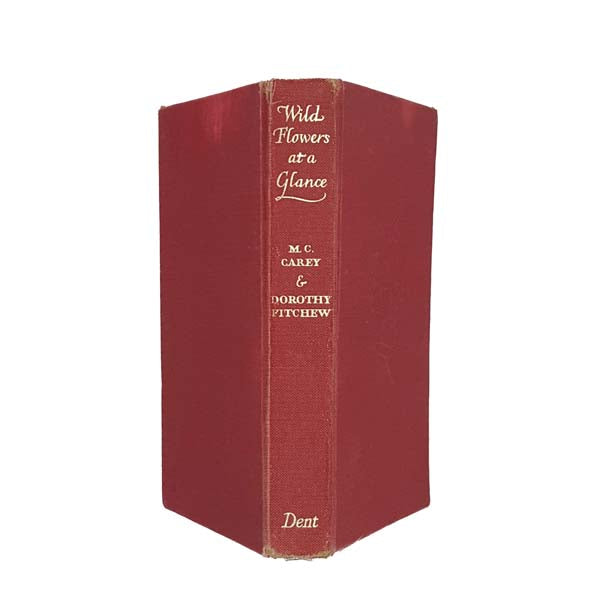 Wild Flowers at a Glance by Mabel C. Carey 1964