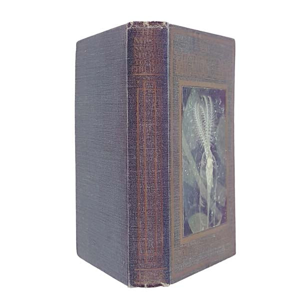 The Microscope: Shown to the Children by Captain Ellison Hawks