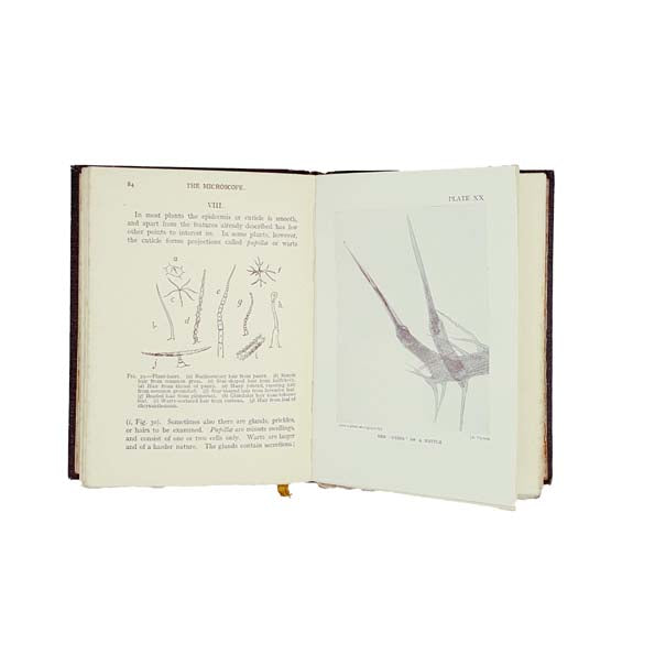 The Microscope: Shown to the Children by Captain Ellison Hawks