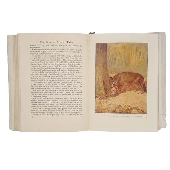 The Book of Animal Tales by Stephen Southwold 1932 - First Edition