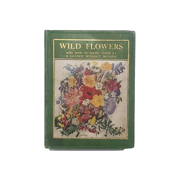 Wild Flowers, and How to Name Them at a Glance Without Botany