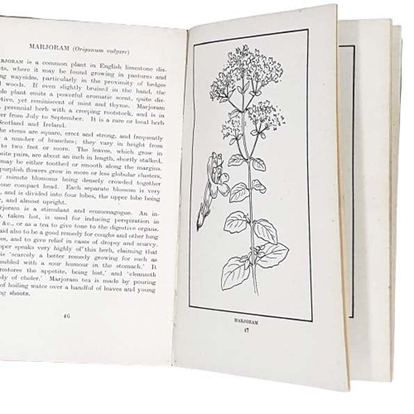 Medicinal Herbs and How to Identify Them by Richard Morse 1930 - Epworth Press