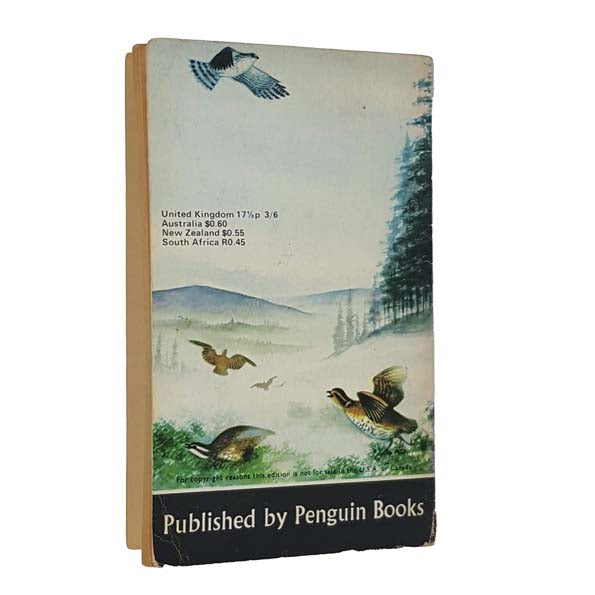 Snow Cloud Stallion by Gerald Raftery 1969 - Puffin