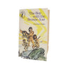 The Boy with the Bronze Axe by Kathleen Fidler - Puffin, 1975