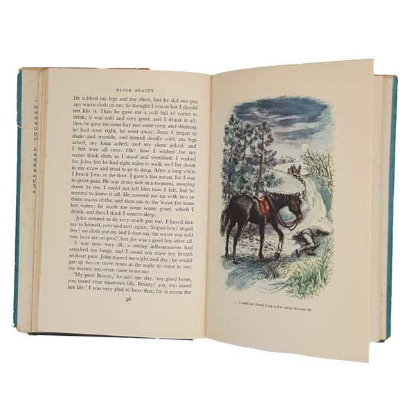 Anna Sewell's Black Beauty - Treasure Library