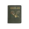 Wayside & Woodland Trees by Edward Step, 1905