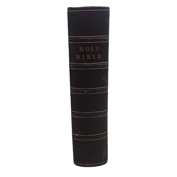 Holy Bible: Payne's Illustrated Family-Bible c1876