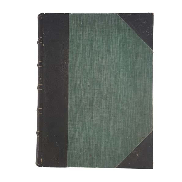 Holy Bible: Payne's Illustrated Family-Bible c1876