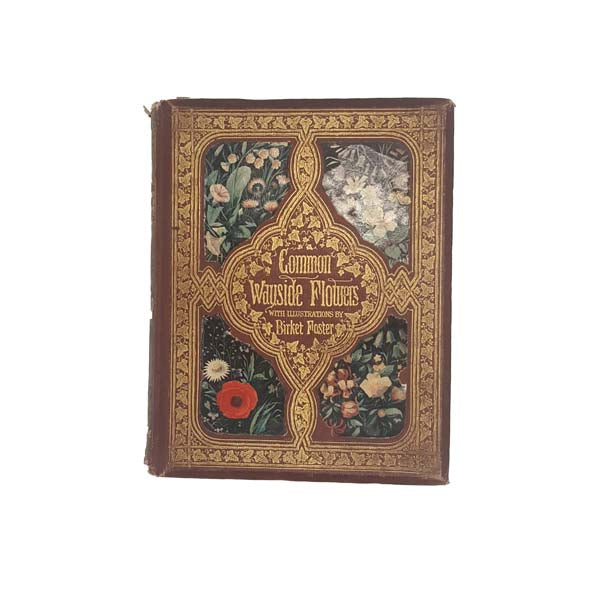 Common Wayside Flowers by Thomas Miller 1860