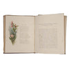 Common Wayside Flowers by Thomas Miller 1860