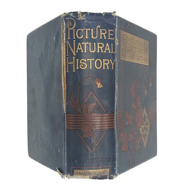 Routledge's Picture Natural History by  J.G. Wood