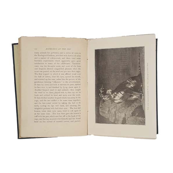 Life at the Zoo by C.J. Cornish 1897