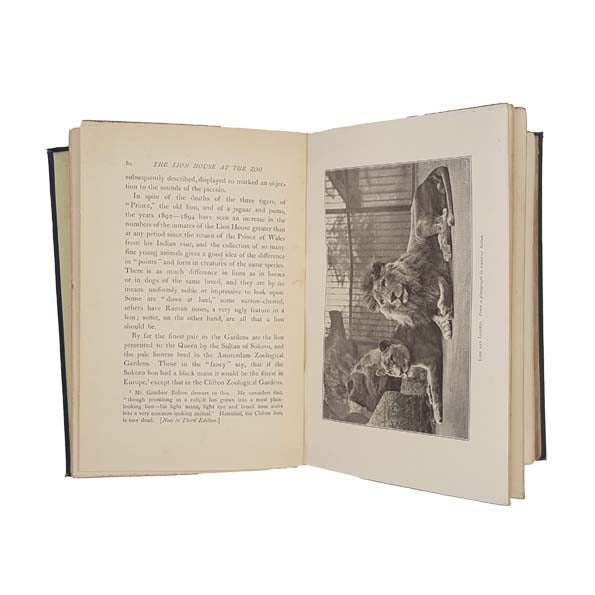 Life at the Zoo by C.J. Cornish 1897