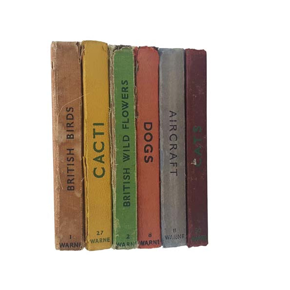 Well-Loved Observer Six Book Multicoloured Collection