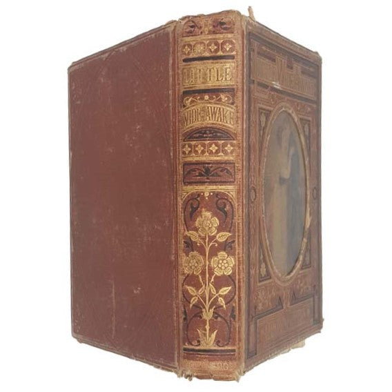 Little Wide-Awake: A Story Book for Little Children by Mrs. Sale Barker, 1877