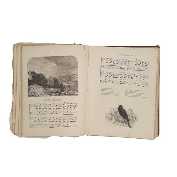 Little Wide-Awake: A Story Book for Little Children by Mrs. Sale Barker, 1877