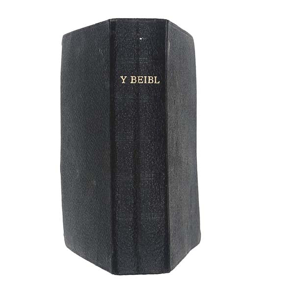 Y Beibl - The Bible (Welsh) 1939