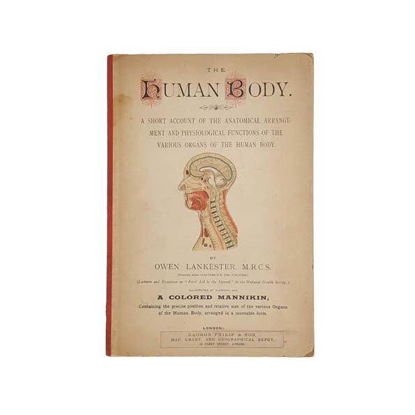 The Human Body by Owen Lankester c.1892