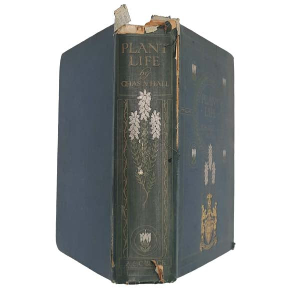Plant-Life by Charles A. Hall, 1915