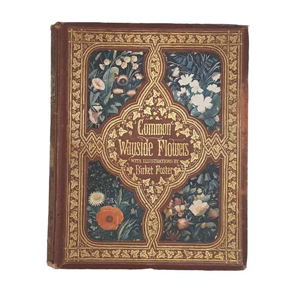 Common Wayside Flowers by Thomas Miller 1863