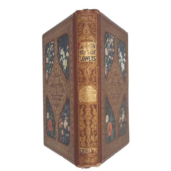 Common Wayside Flowers by Thomas Miller 1863