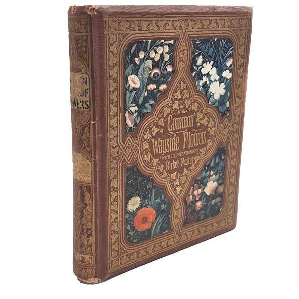 Common Wayside Flowers by Thomas Miller 1863