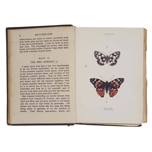 Butterflies and Moths Shown to the Children by Janet Harvey Kelman