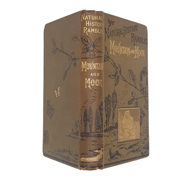 Mountain and Moor by J.E. Taylor, 1879