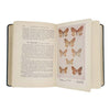 The Moths of the British Isles by Richard South, 1946