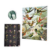 Nature Stationery Set - Notebook, Sketchbook, Paperweight