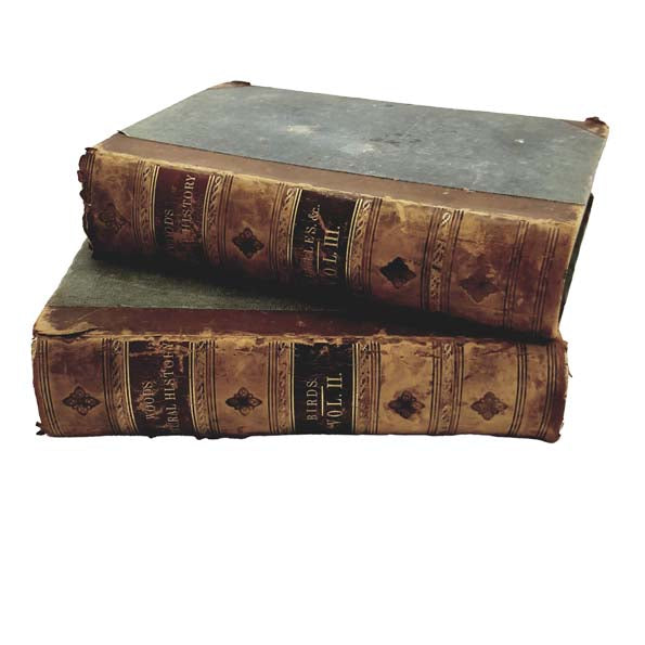 The Illustrated Natural History Vols 2 &amp; 3 - Routledge, 1862